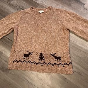 Cold Water Creek Sweater